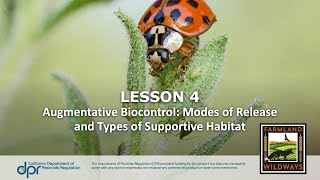 Augmentative Biocontrol Webinar Modes of Release and Types of Supportive Habitat [upl. by Nylecoj]