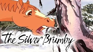 The Silver Brumby 135  An Unexpected Encounter HD  Full Episode [upl. by Napas927]