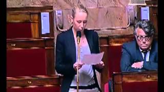 Amendement présenté par Marion MaréchalLe Pen pour le rétablissement de la TIPP flottante [upl. by Lorine]