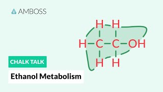 Ethanol Metabolism Alcohol Breakdown in the Body [upl. by Firooc]