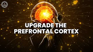 Upgrade The Prefrontal Cortex  Unleash Your Cognitive Superpowers amp Brilliance  Alpha Waves Music [upl. by Alicirp525]