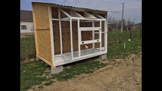 Un model de crescatorie pentru porumbei pui  Racing Pigeons Loft [upl. by Nivlek]