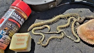 Weird Foods Would you eat these SANDWORMS Youd be surprised [upl. by Gniliem]