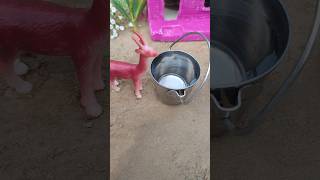 Mini hand pump project water supply with summersable dear drink [upl. by Aramit]