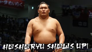 Hoshoryu Survives in his Ozeki Debut His Aki 23 [upl. by Orenid982]