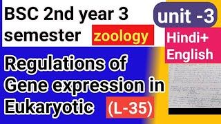 Bsc 2nd year 3semster zoology topic Regulations of gene expression in eukaryotic [upl. by Chladek]