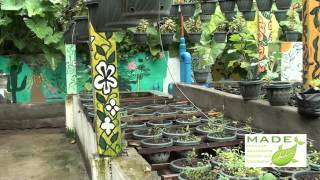 MADE Growing Systems Aquaponics Philippines September 2012 Update [upl. by Vinia]