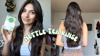 Summer Hair Growth Challenge 2024  Nettle Tea Rinse ♡ [upl. by Yannodrahc]