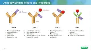 Overcome the Challenges of PK Assay Development Using TrailBlazer Antibodies [upl. by Pilihp]