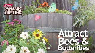 How to plant a bee and butterfly attracting garden with the help of Yates Dynamic Lifter [upl. by Eissel624]