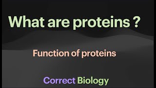 Proteins Functions of proteins [upl. by Veljkov645]