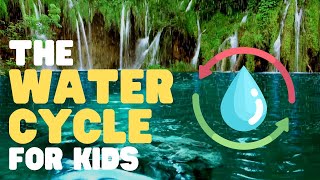 The Water Cycle for Kids  Learn all about the water cycle [upl. by Ansaev]