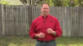 How To Stop Lawn Weeds  Ace Hardware [upl. by Annayak]