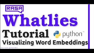 Whatlies Python  Visualizing Word Embeddings [upl. by Myranda993]