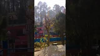 Binsar Mahadev temple in Uttarakhand shorts shortvideo music song [upl. by Htenek]