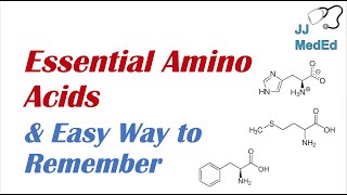 Essential Amino Acids  Mnemonic and Easy Way to Remember [upl. by Eiddam768]