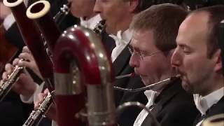 Beethoven Symphony No 5 bassoon solo [upl. by Norton]