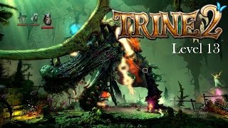 Trine 2 Walkthrough  The Final Chapter Level 13 [upl. by Kendall]