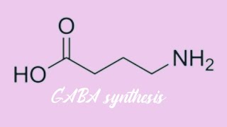 GABA synthesis [upl. by Otrebogad11]