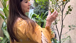 HOME TOUR IN LAHORE 🏡🏠🚪Mama Galore [upl. by Trace]