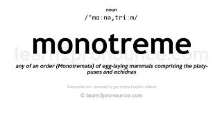 Pronunciation of Monotreme  Definition of Monotreme [upl. by Yelwar556]