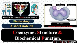 Coenzyme Structure and biochemical function  Coenzymes in hindi audio [upl. by Cogswell]