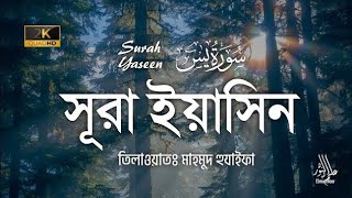 সূরা ইয়াসিন  মাহমুদ হুযাইফা  Quran Tilawat  Surah Yaseen  Mahmud Huzaifa  Elmun Noor [upl. by Fisken]