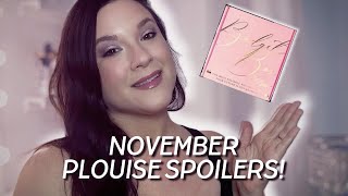 NOVEMBER 2024 PLOUISE BUDGET BOX SPOILERS amp SNEAK PEEKS [upl. by Heinrick110]