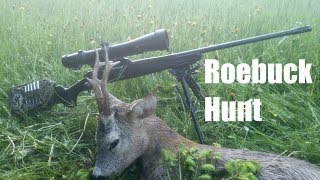 Ansitz auf Maiböcke  Spring roebuck hunt Bockjagd 2017 [upl. by Absa]