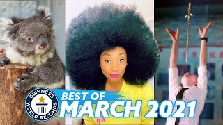 BEST OF MARCH 2021  Guinness World Records [upl. by Nymsaj]