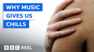 Frisson Why music gives you chills – BBC REEL [upl. by Plantagenet12]