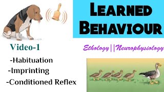 1Learning and MemoryLearned BehaviourTypes of learningHabituationImprintingConditioned Reflex [upl. by Alenoel278]