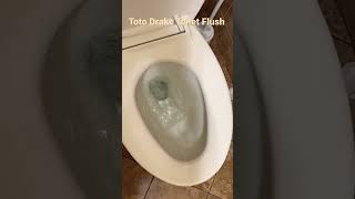 Toto Drake Toilet Flush  Desensitization Training [upl. by Buford438]