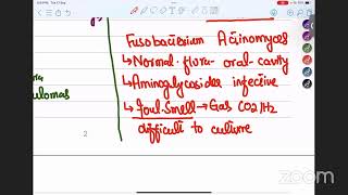 Microbiology Class2 Taxonomy of Bacteria Staining of bacteria [upl. by Forster207]