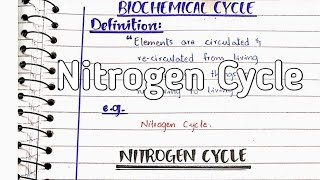 Nitrogen cycle  Nitrogen fixation [upl. by Krispin938]