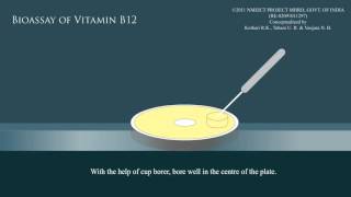 Bioassay of vitamin B12 [upl. by Ybbob779]