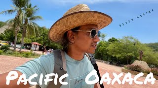 Beach hoping Trip in Mexico Part 3 Mazunte Oaxaca [upl. by Akemad]