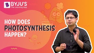 Photosynthesis  How Does Photosynthesis Happen  Learn with BYJUS [upl. by Arst]