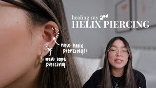 helix piercing aftercare  how i healed my helix piercing [upl. by Perseus]