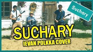 Ievan Polkka ROCK COVER SUCHARY  Cyber Marian Vordrab amp Królowie Żyta [upl. by Salena]