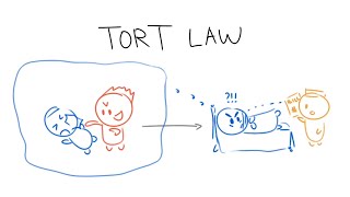 Tort Law in 3 Minutes [upl. by Notlimah753]