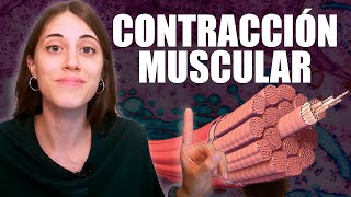 ¿Cómo funciona la CONTRACCIÓN MUSCULAR y qué significa LA HIPERACTINA [upl. by Maurice]