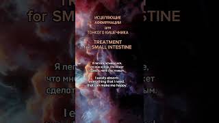 🧘‍♀️Аффирмации для ТОНКОГО КИШЕЧНИКА TREATMENT for SMALL INTESTINE Полная медитация на канале [upl. by Eleirbag]