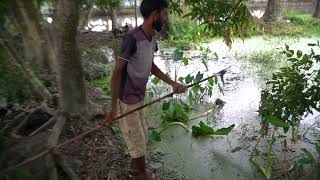 দেখুন কিভাবে লুকিয়ে লুকিয়ে মাছ ধরলাম। See how I caught fish secretly। FishingWorld। [upl. by Marriott]