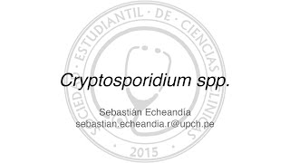 Cryptosporidium spp [upl. by Ricardo]