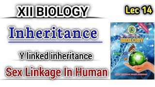 Sex linked inheritance in Human lec 15  Y linked inheritance class 12 [upl. by Vasos]