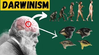 Unveiling Darwin Theory  Evolution Explained  Darwinism [upl. by Los]