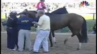 Barbaro Injury Preakness Stakes May 20 2006 [upl. by Etaner]