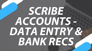 Scribe Accounts  Data Entry amp Bank Reconciliation [upl. by Atiuqal]