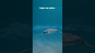 Narwhal की सूंड का असली काम  Facts  Myth ProfessorNitin [upl. by Ynahpit]